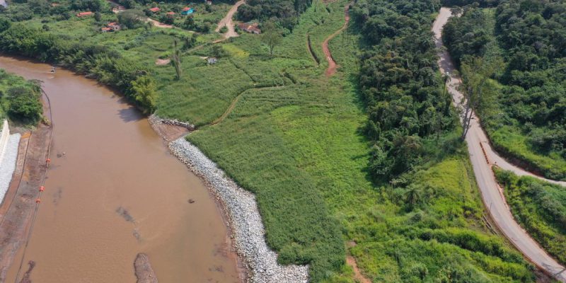 Animais silvestres estão retornando à região de Brumadinho