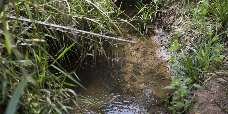 IBGE e ANA lançam dados para orientar análises de recursos hídricos