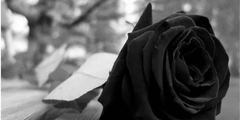 Diferenças entre o serviço de assistência funeral e a cobertura de auxílio funeral