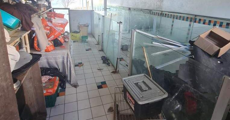 Veterinária responsável por hotel pet clandestino em Jardim Camburi paga fiança e é solta