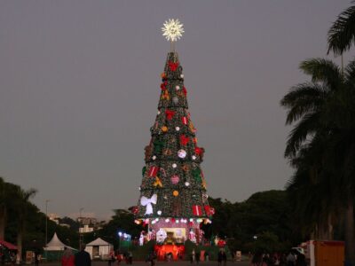 Parque Villa-Lobos, em SP, exibe árvore de Natal com 52 m de altura