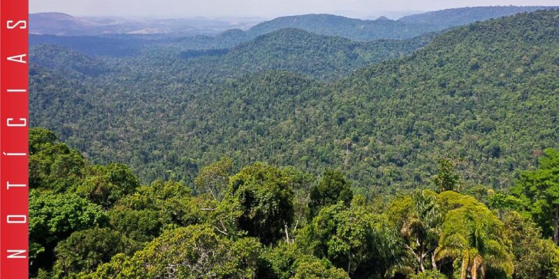 Lula quer política unificada para a região amazônica
