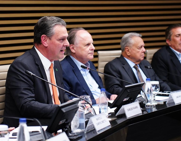 destaca Plano Nacional de Fertilizantes em reunião do Cosag