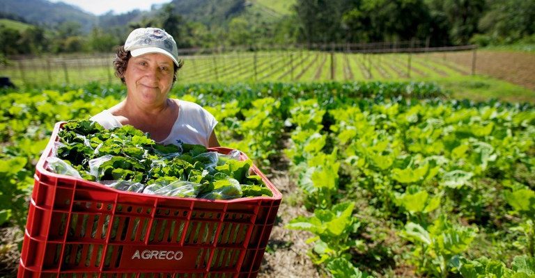 Programa de Aquisição de Alimentos: mulheres são maioria na produção e na inclusão alimentar