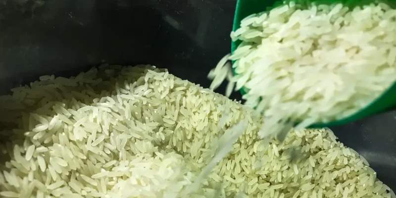 Brasil vai importar arroz para evitar especulação de preços