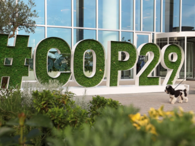 COP29: O que são os Créditos de Carbono e qual a Relevância do Artigo 6 do Acordo de Paris?