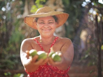 Governo abre sistema do PAA para compras da agricultura familiar