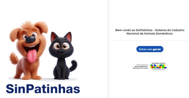 RG para cães e gatos: tire dúvidas sobre a nova ação do Governo Federal