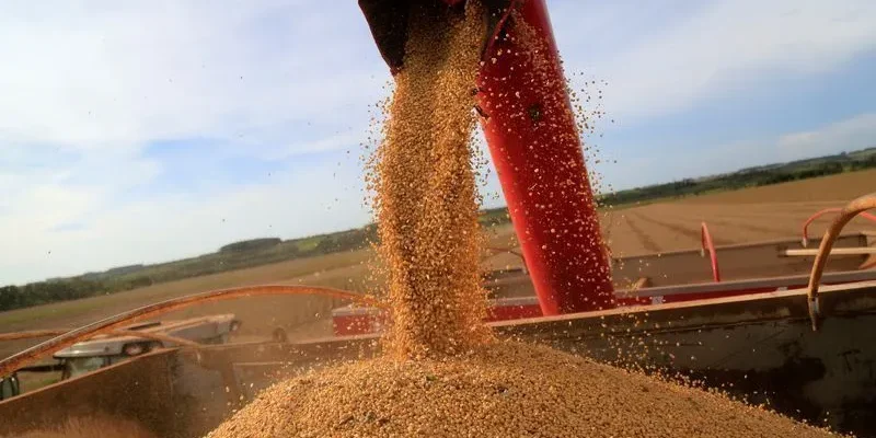 Taxação de LCAs: Um Alerta para o Financiamento Rural e o Equilíbrio Econômico no Campo