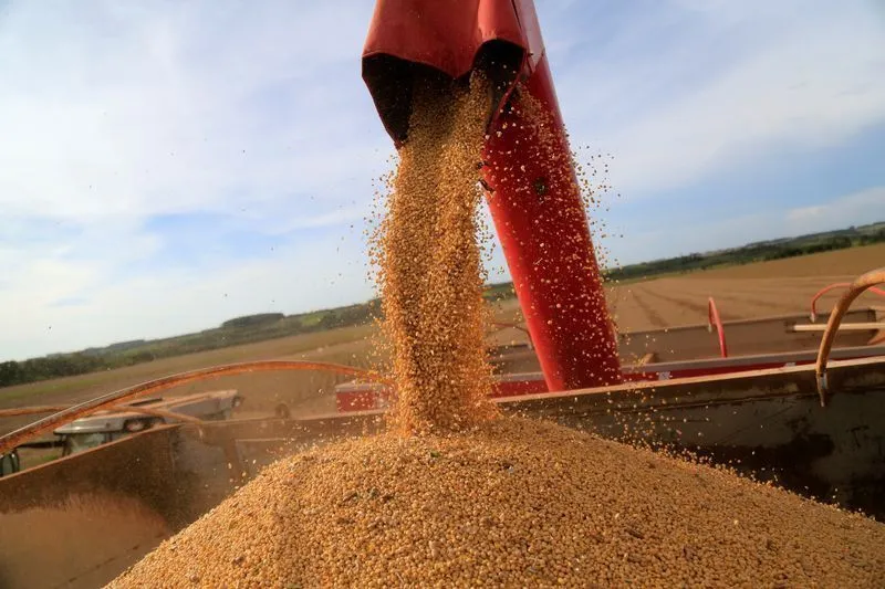 Taxação de LCAs: Um Alerta para o Financiamento Rural e o Equilíbrio Econômico no Campo
